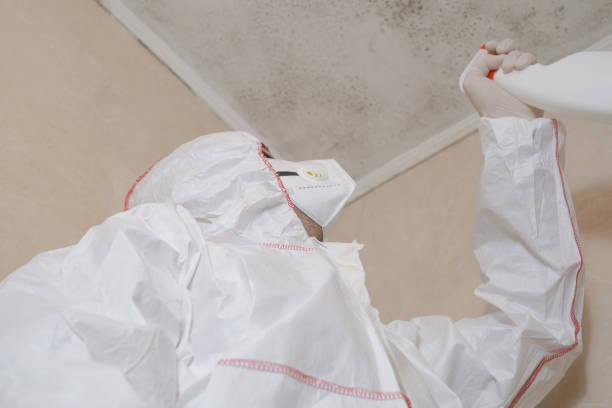 Best Attic Mold Removal  in Pleasant Hills, MD